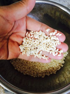 これが米麹です。